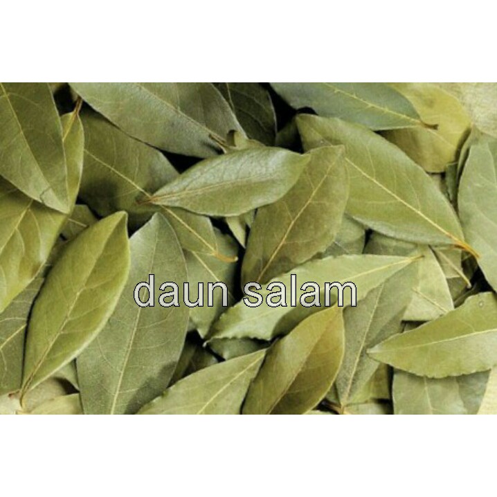 

500gr daun salam kering