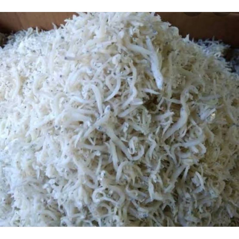 

teri medan