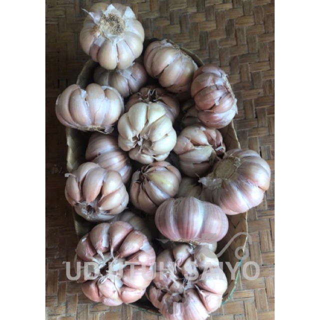 

Bawang putih honam 250gr