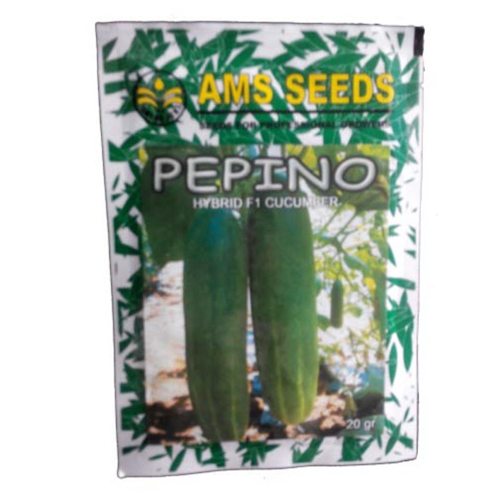 AMS Seed Pepino Hybrid F1 Cucumber - Benih Mentimun -10 gram