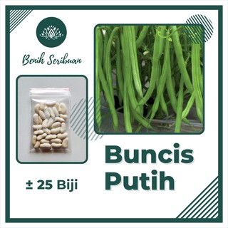 Jual Paket Macam Benih Sayuran Rambat Bibit Sayur Merambat Buncis Kacang Pare Oyong Timun