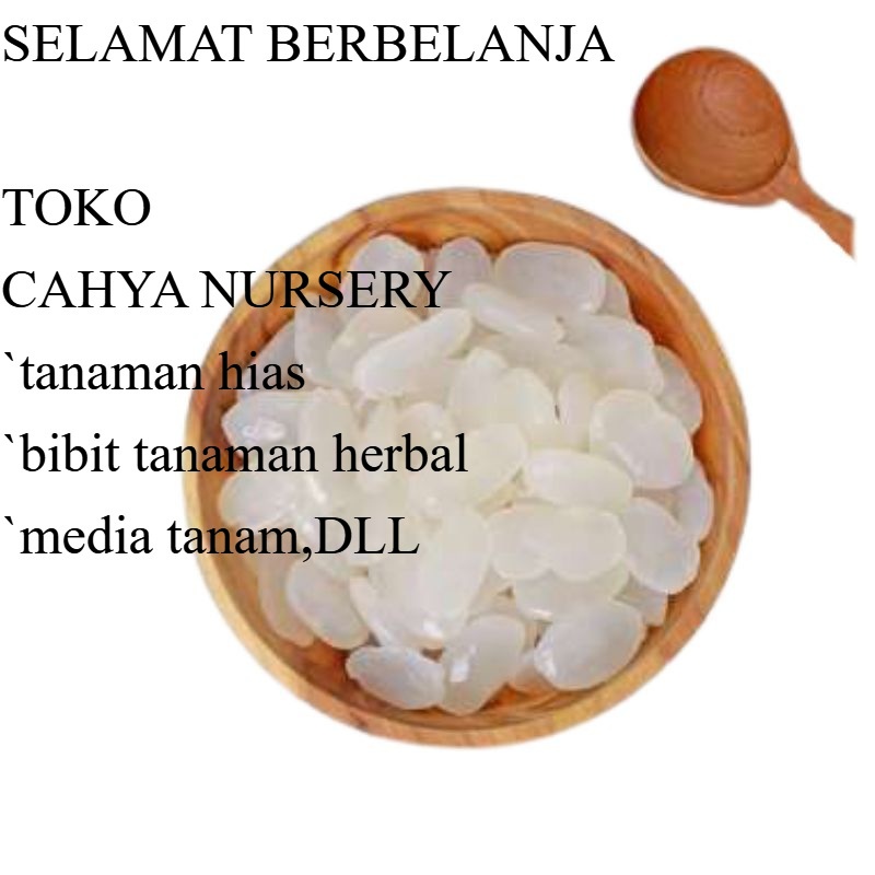 

Ready KOLANG KALING 1KG KUALITAS SUPER kolangkaling muda