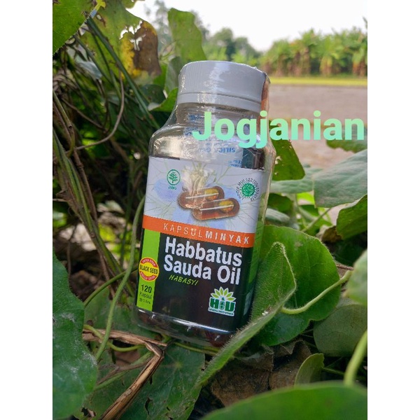 Habbatussauda Oil Habasyi