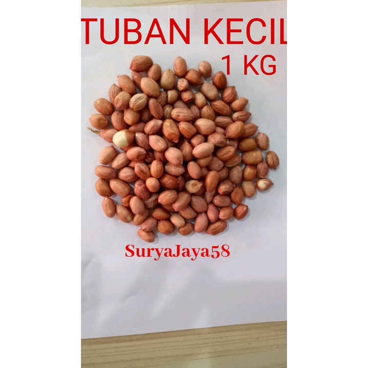 

Kacang Tanah Tuban Kecil (7mm-8mm) kualitas super | 1kg - SuryaJaya58