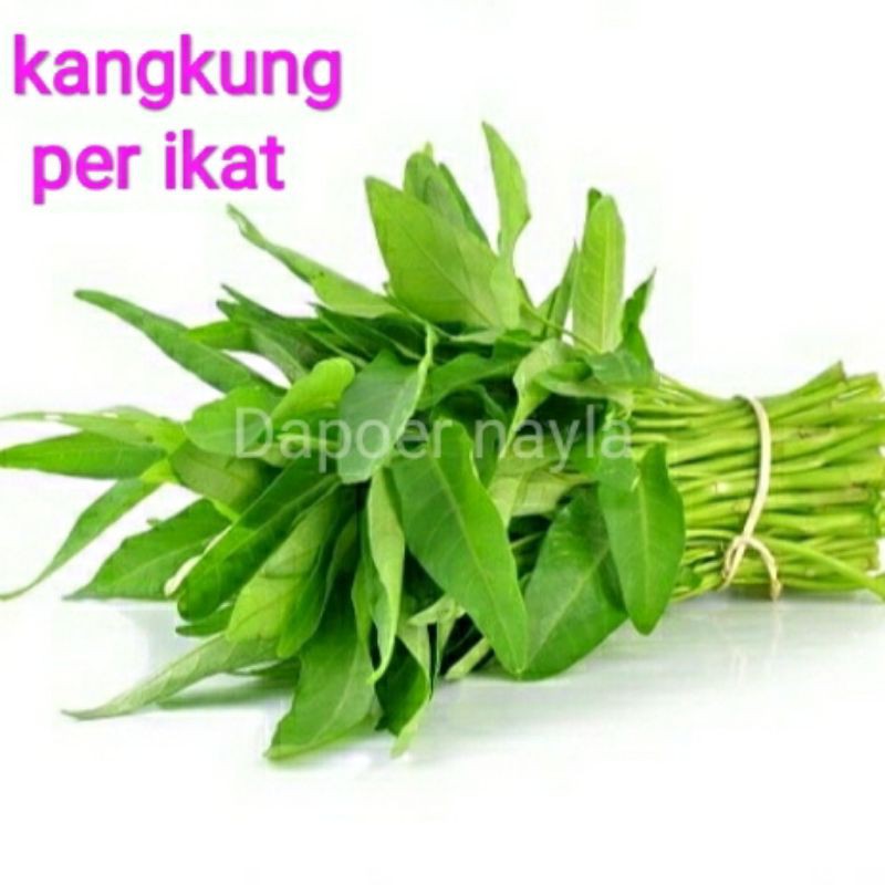 

kangkung segar per ikat