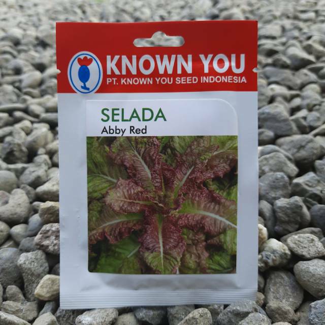 Benih Bibit Biji Selada Merah Abby Red (5gr)