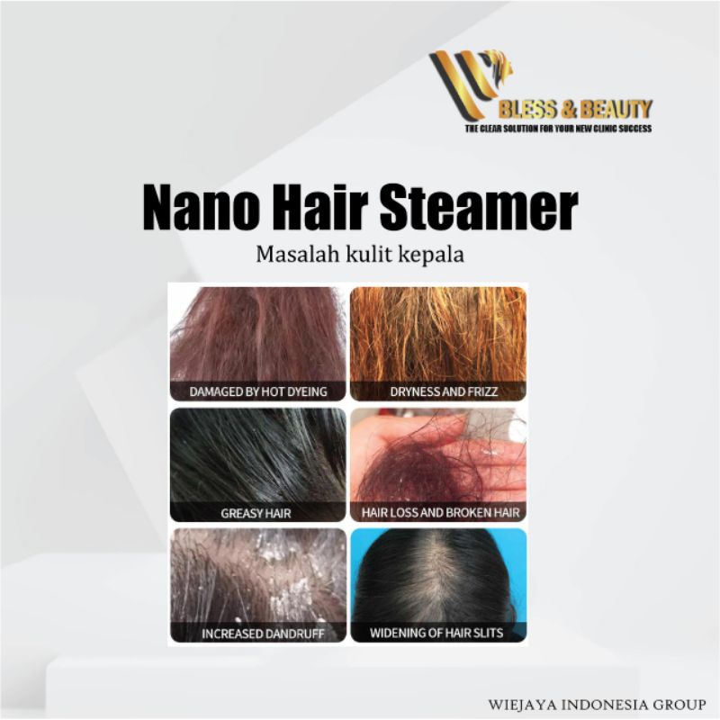 Hair Steamer Nano Mist Steamer Blue Ray Steamer Rambut