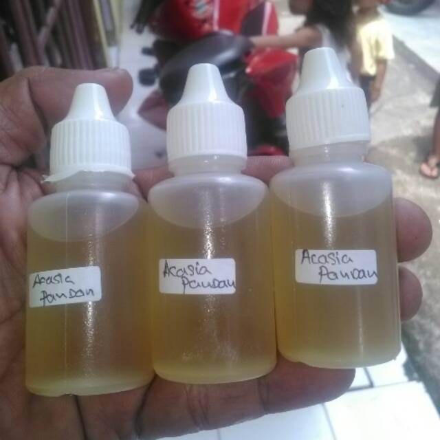 

Oplosan acasia pandan