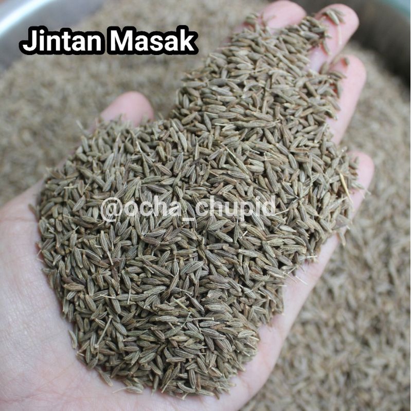 

Jintan Masak Kualitas Super