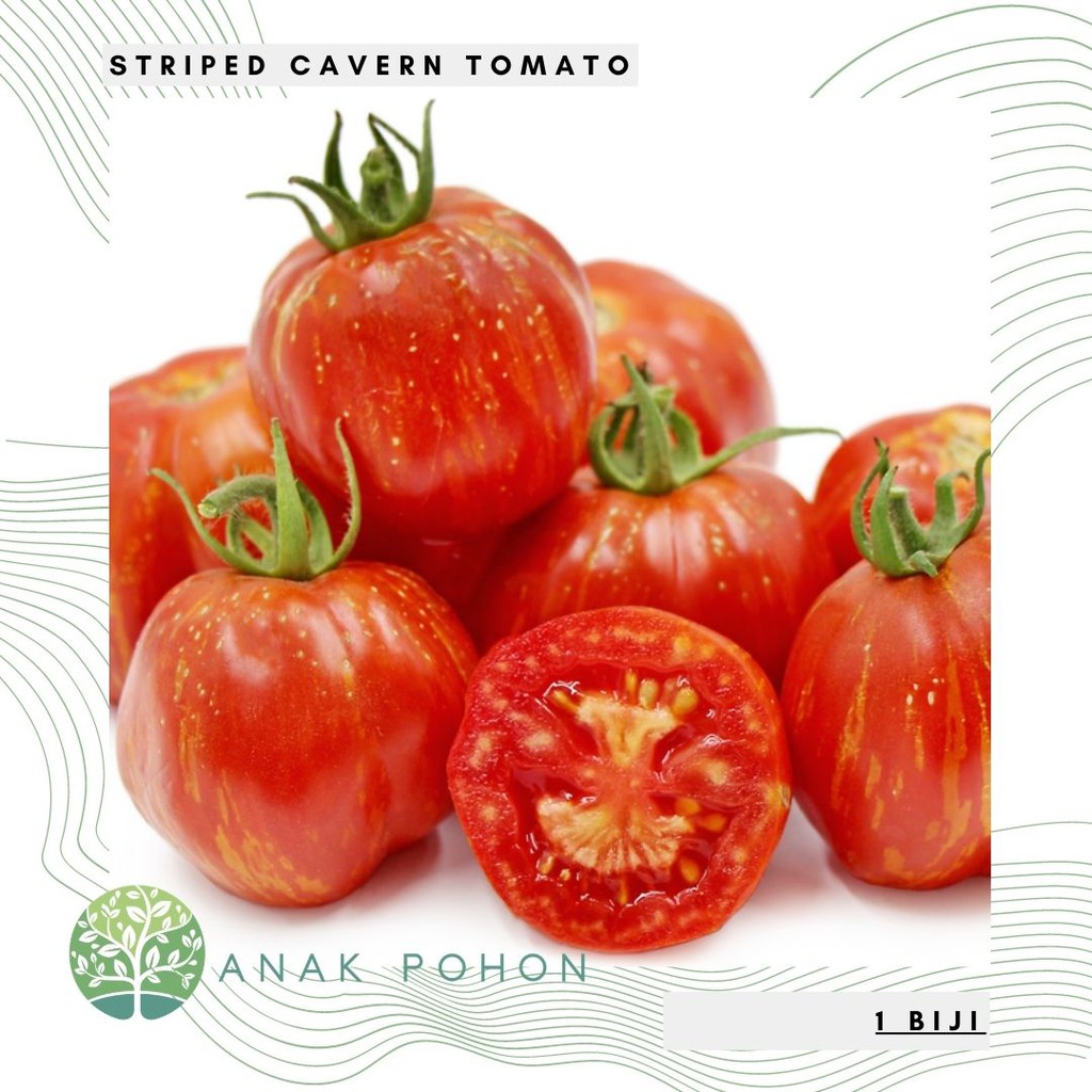 Benih Bibit Biji - Tomat Striped Cavern Tomato Seeds