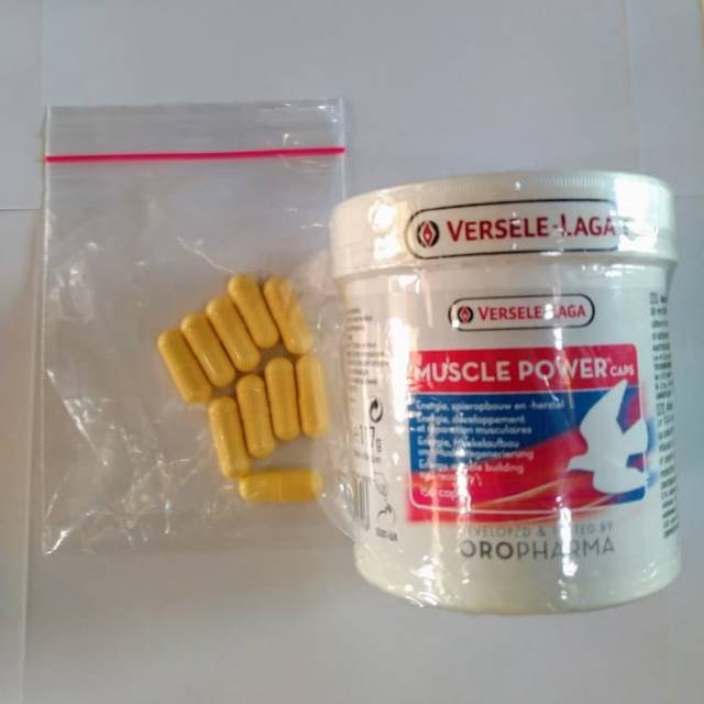 Muscle power caps untuk menguatkan otot merpati jual per 10 kapsul