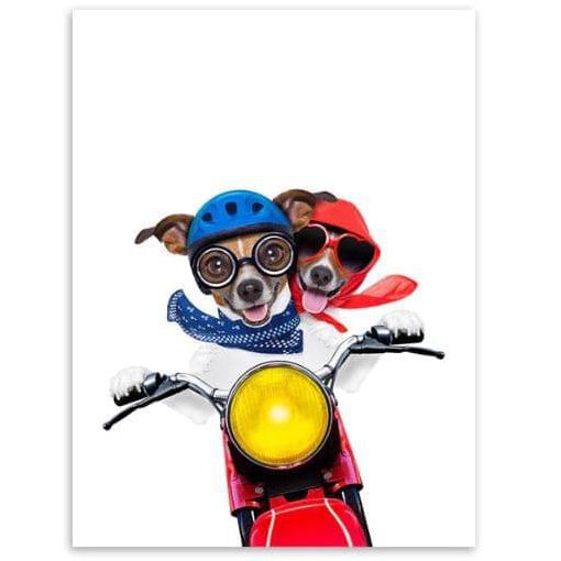 

Limited Stock Putzig - 005 Doggo And A Beach (21X30Cm) *^