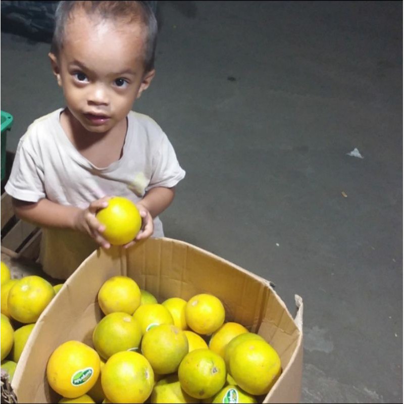 

Jeruk Baby Ganda Segar dan Sehat Paket 3 kg