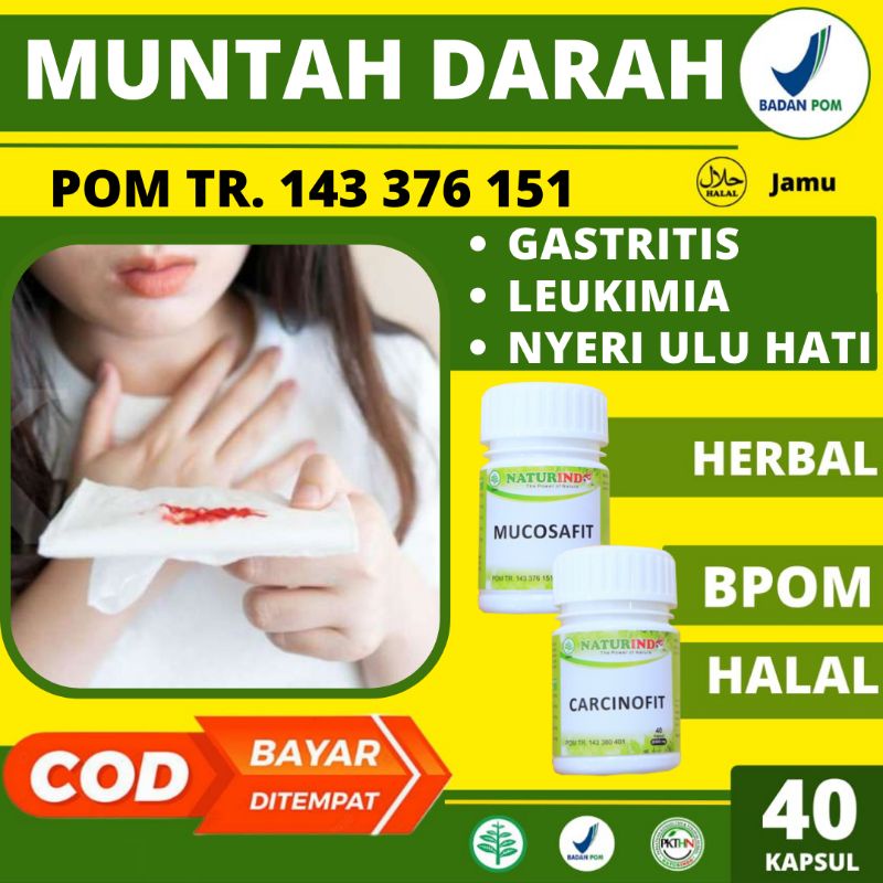 Obat Muntah Darah Herbal Leukimia Nyeri Ulu Hati Cedera Perut Gastritis Tukak Lambung Peradangan Pada Usus