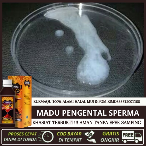 Madu Pengental Sperma Pria Obat Pengental Sperma Laki Laki Encer Yg Buat Promil Dan Ejakulasi Dini -