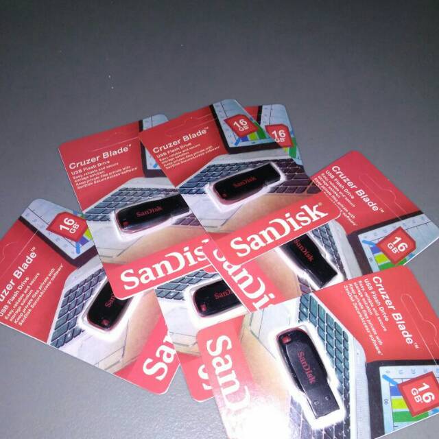 Flash disk sandisk