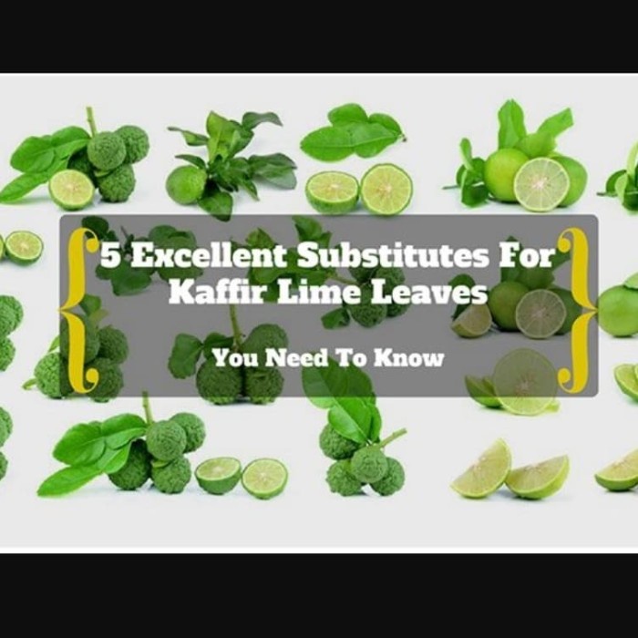 

Organic Kaffir Lime Leaves Powder 50G/Food Grade/Halal