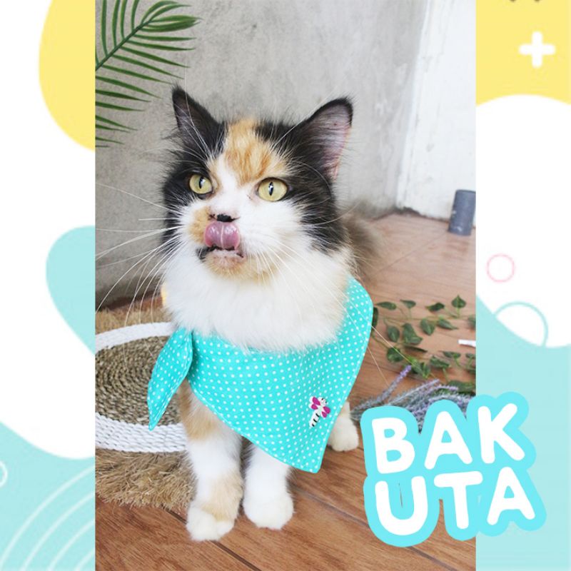 celemek makan imut untuk hewan kucing dan anjing lucu / baju kucing murah size kitten-adult