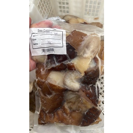 

Teripang Laut Frozen Jumbo
