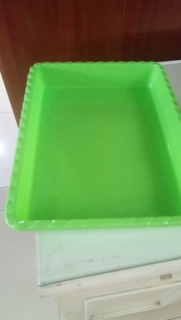 Nampan Plastik No.4 (35 X 27) Warna Cerah