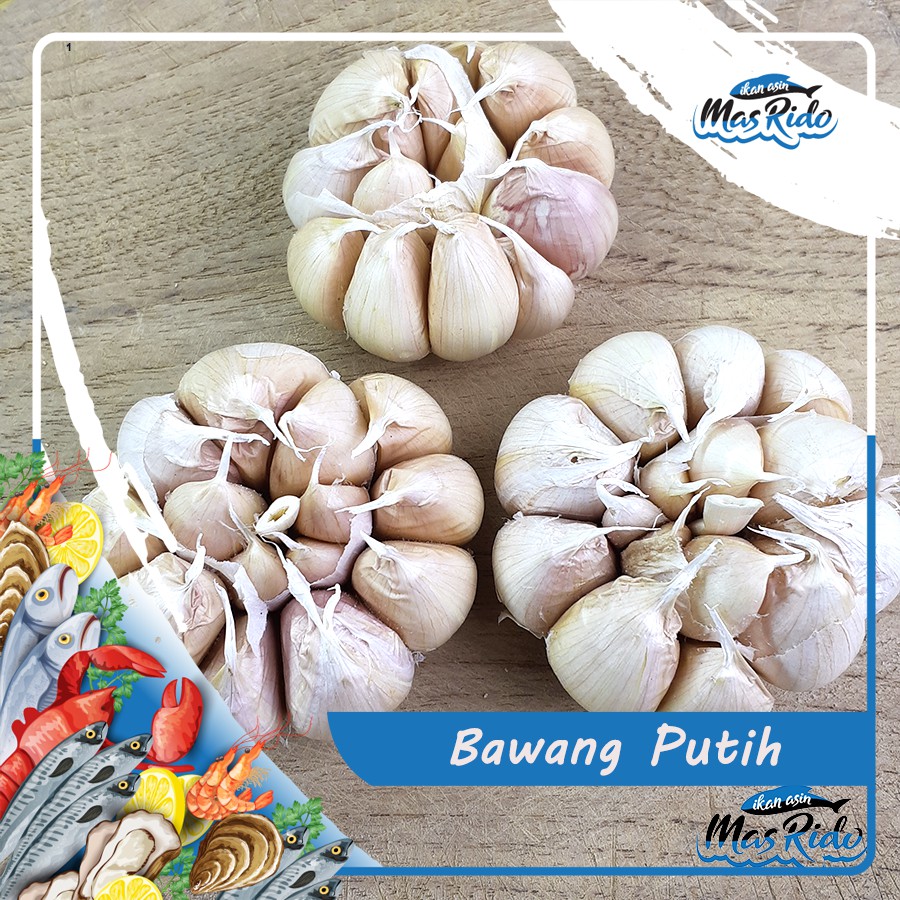 

BAWANG PUTIH / BAWANG PUTIH HONAN / BAWANG PUTIH PREMIUM HARGA MURAH