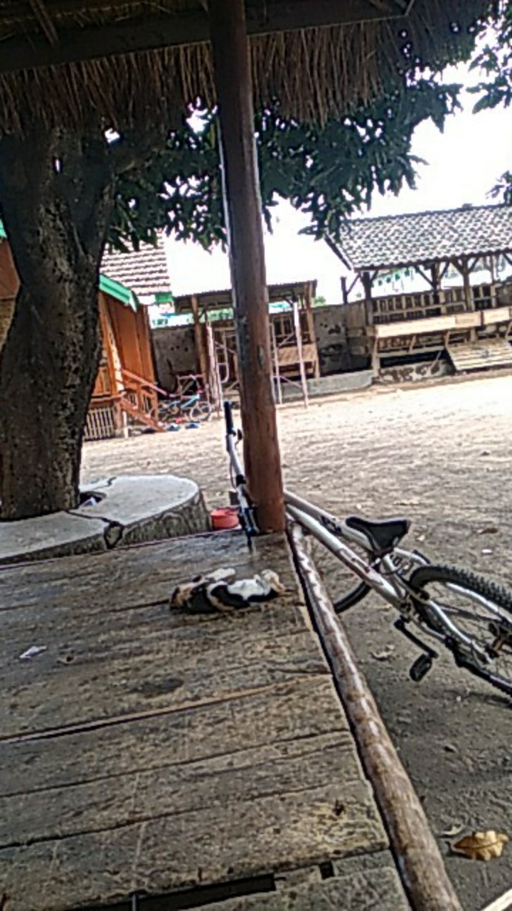 Lion Star - Hugo Round Jar 101 (toples Plastik Murah Sidoarjo) - Pp-31