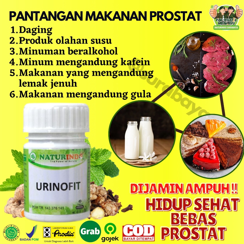 Obat Herbal Sulit Kencing Sakit Prostat Infeksi Saluran Kencing Anyang Anyangen Atasi Batu Ginjal Saluran Kemih Obat Kencing Batu kencing sakit Obat Gagal Ginjal Bocor Bengak Kencing Berbuih Berbusa Batu Spesialis Ginjal URINOFIT NATURINDO SURABAYA-5