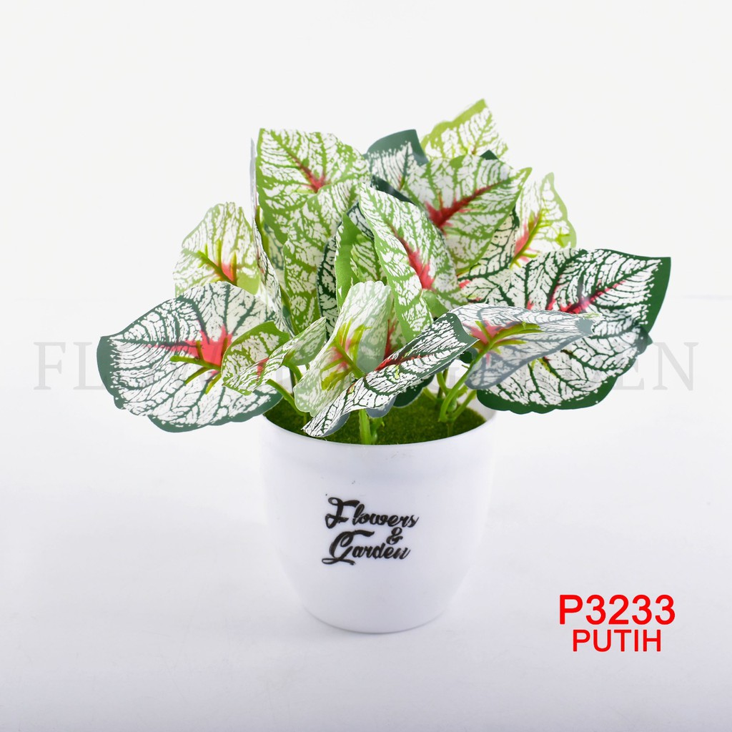 TANAMAN HIAS TANAMAN DAUN PLASTIK TANAMAN HIAS RUMAH BUNGA HIAS BUNGA PLASTIK BUNGA P3233-8
