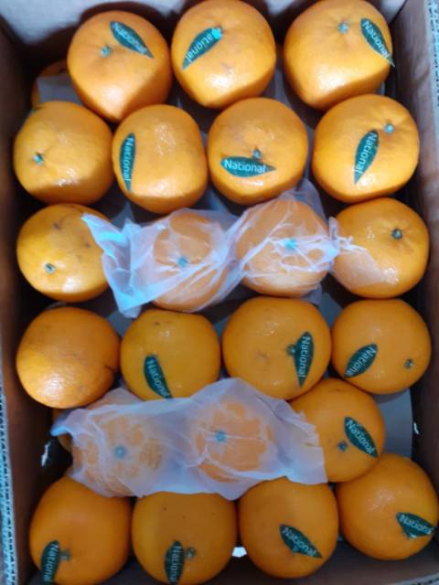 Buah jeruk Mandarin kino per dus