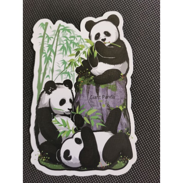 

kartu pos shaped panda/panda shaped postcard