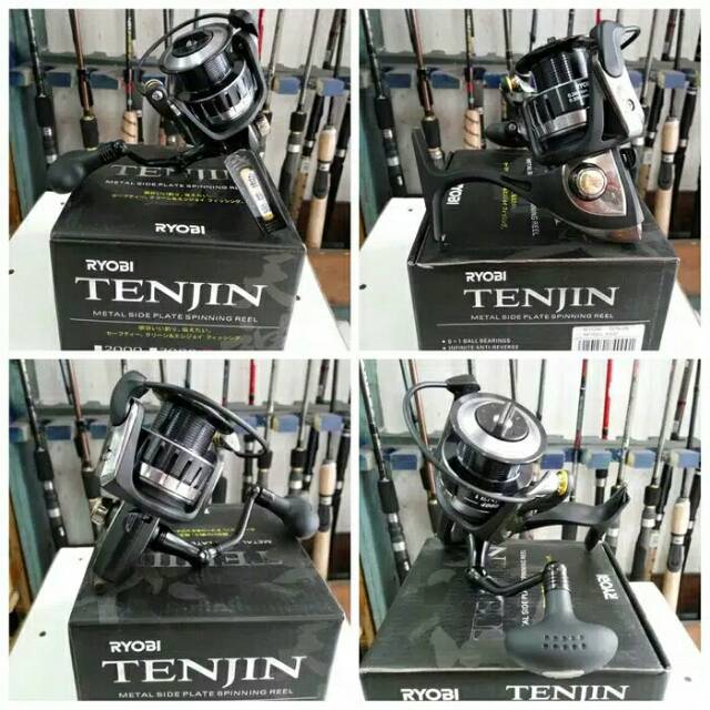 Ryobi Tenjin 4000