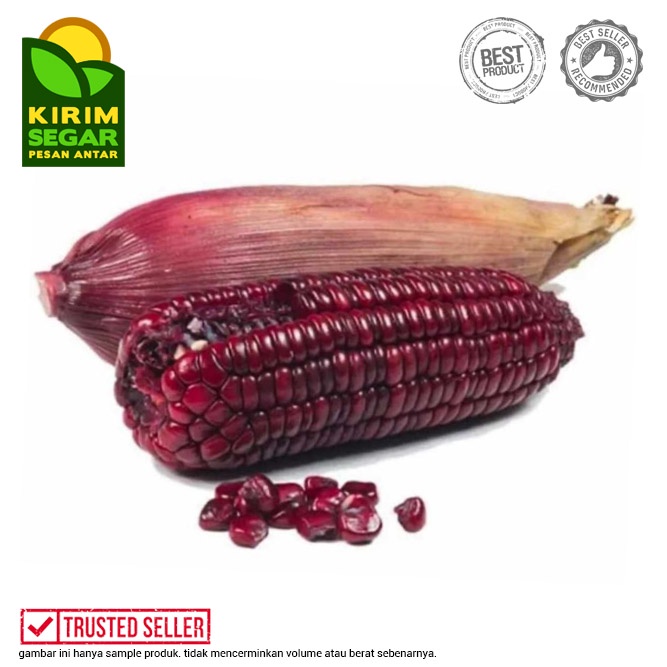 

Jagung Ketan Hitam/Jagung Ketan/Jagung Hitam/Jagung Ungu/3pcs