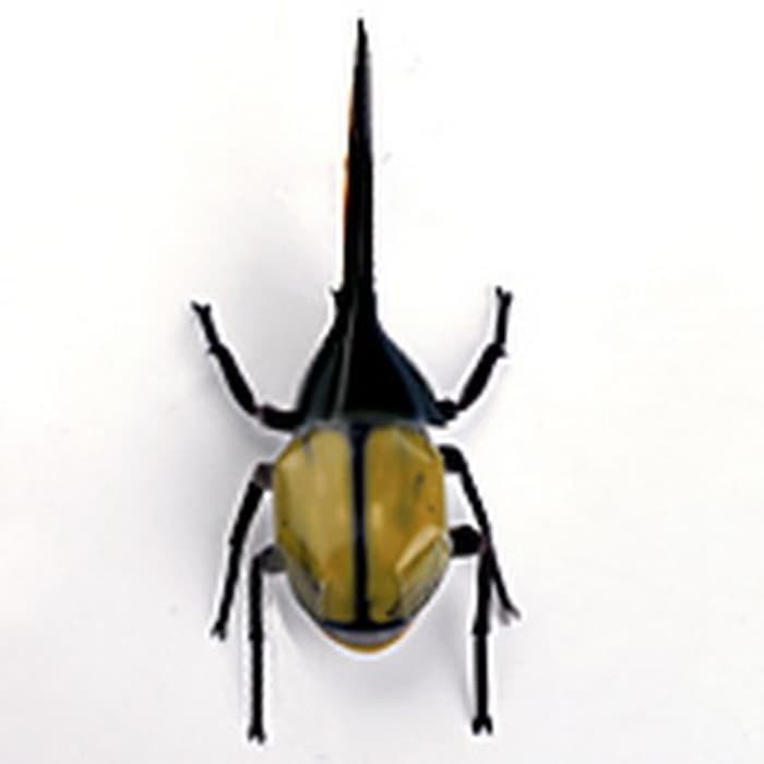 DIY Miniatur Papercraft Hewan Serangga Kumbang Hercules