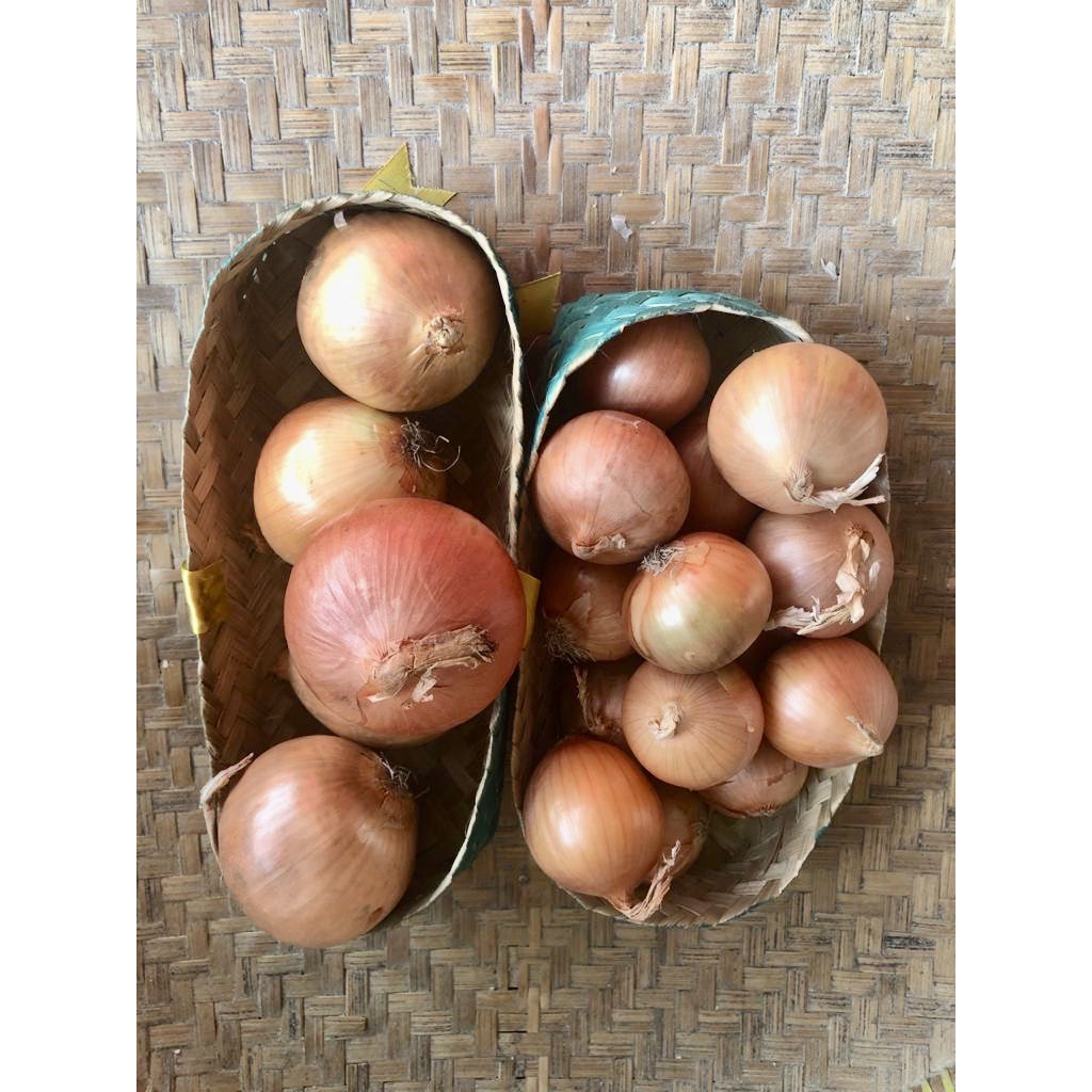 

Bawang bombay besar 500gr