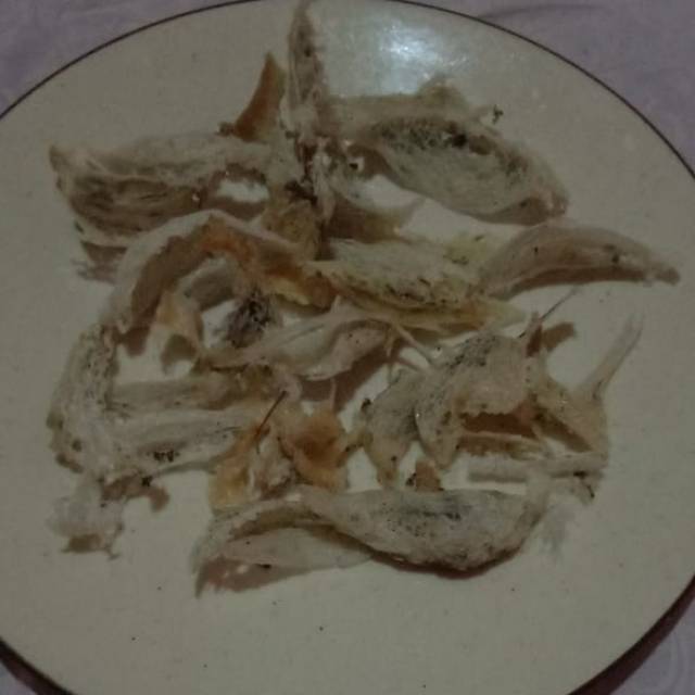 Patahan sarang burung walet