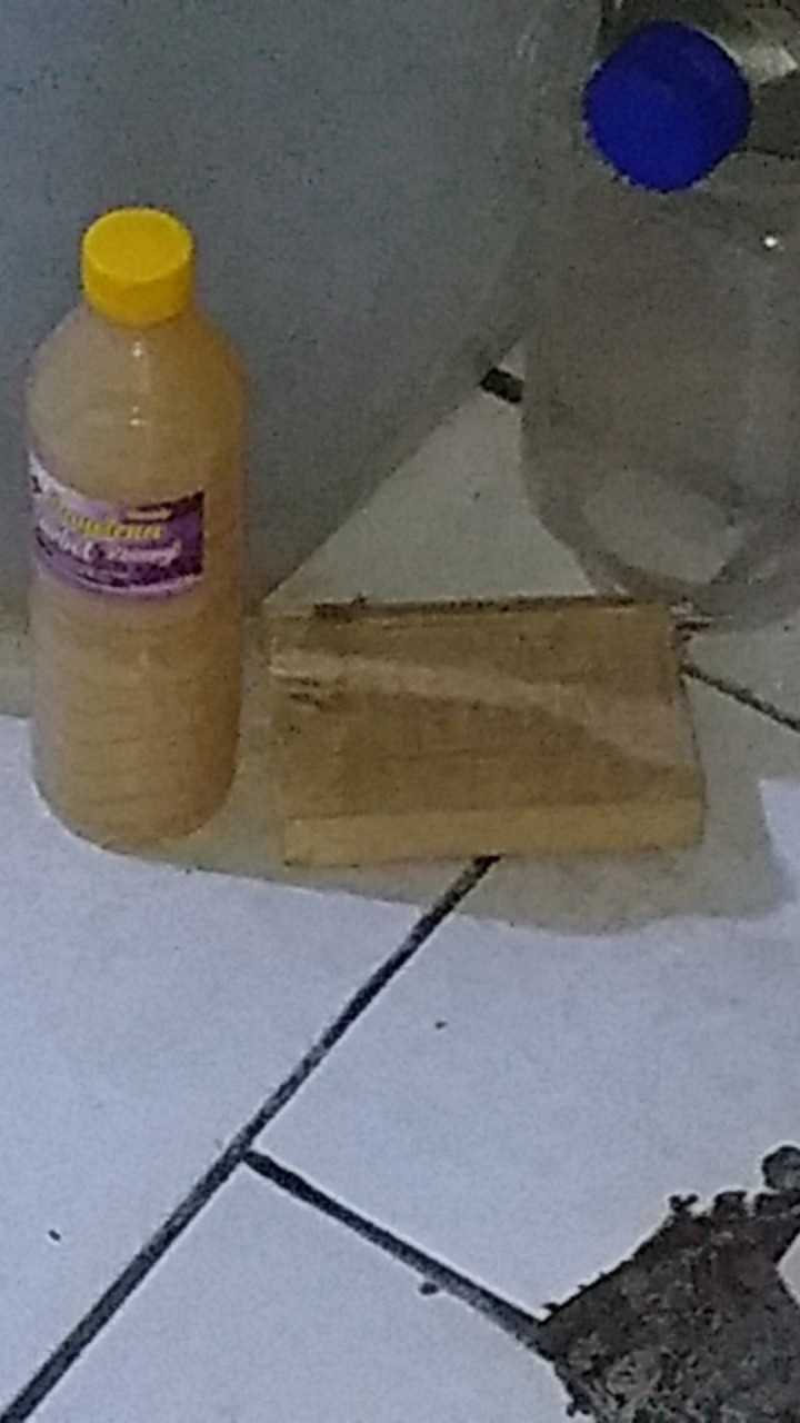 Karbol Pembersih Lantai 600ml Disinfektan Anti Serangga Murah