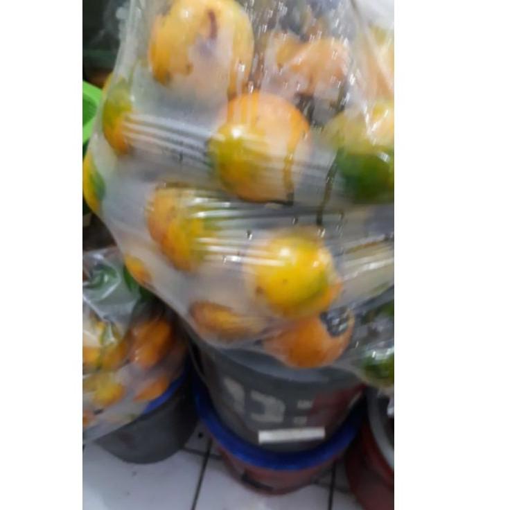 

TERONG ASAM KALIMANTAN / TERONG DAYAK ADZWD5348