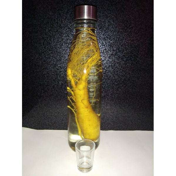 

Ginseng korea free 1sloki