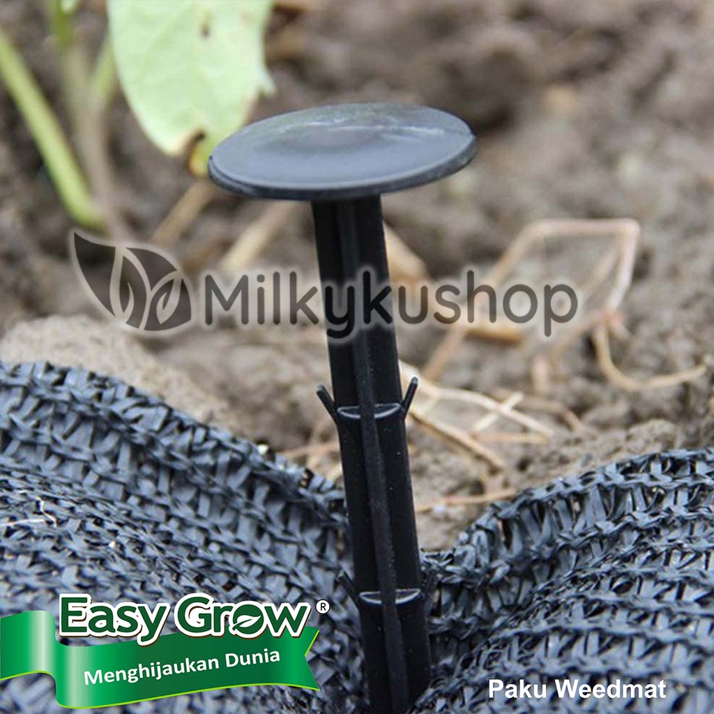 PAKU WEEDMAT EASY GROW ISI 10 PCS PAKU MULSA