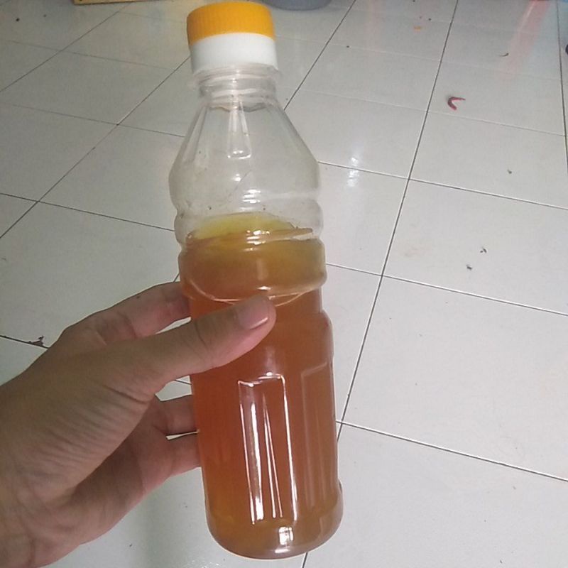 

maduhutanakasia