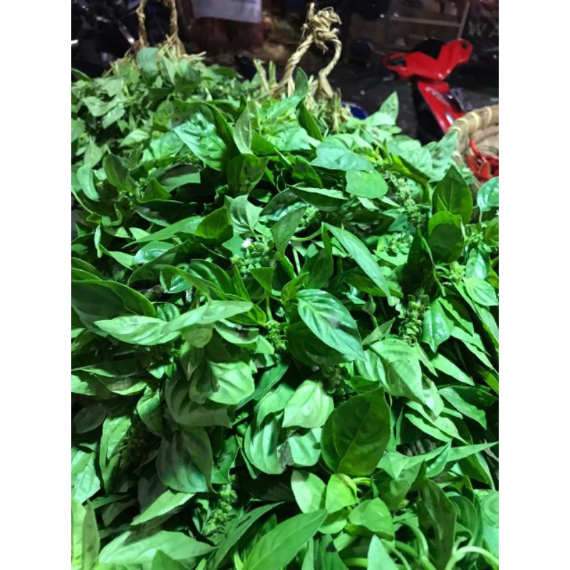 

Daun kemangi (per ikat)