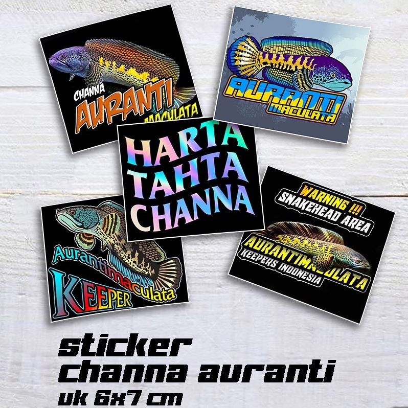 

Sticker Channa Auranti Stiker Tempelan Akuarium Chana Auranti Packet [ isi 5 Stiker ]