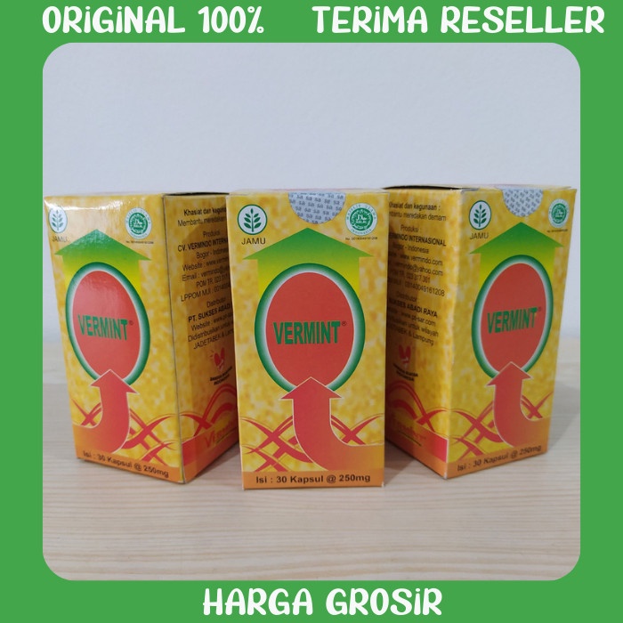 Jual Vermint Kapsul Cacing Obat Penyakit Tifus Tipes Original