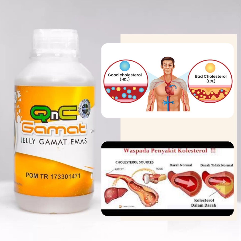 obat kolesterol, obat kolestrol, Penurun kolesterol, obat herbal kolestrol, obat kolesterol herbal, 