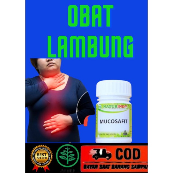 Obat Lambung Asam Lambung Magh Gerd Mual Perut Kembung Muntah Sakit Perut Magh Akut Isi40Kapsul Komp