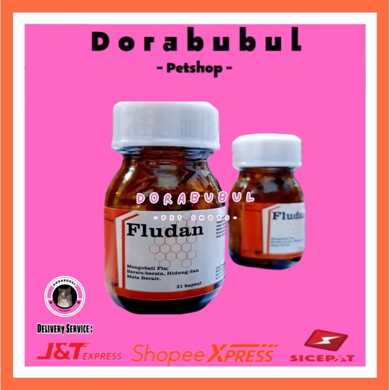 Dorabubul Fludan Capsul Mengobati Flu Pilek Kucing