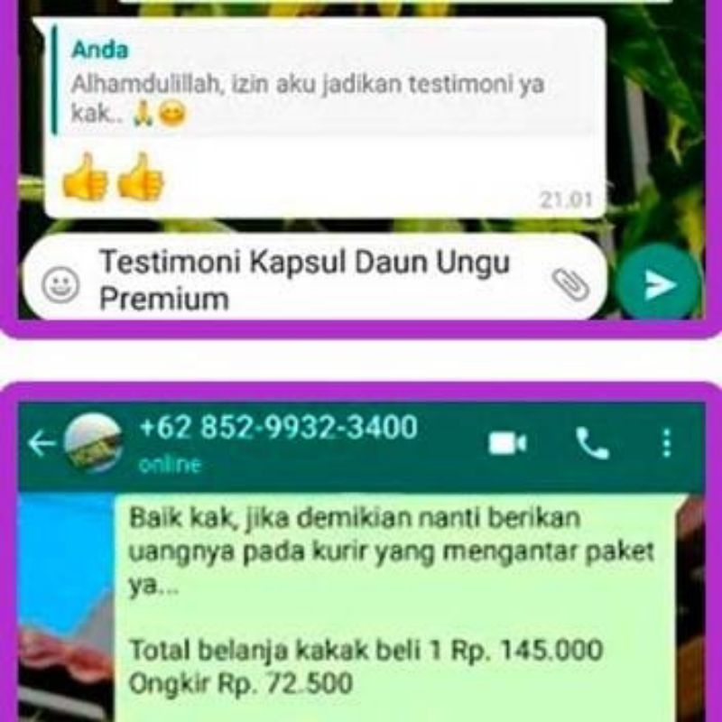 KAPSUL DAUN UNGU UNTUK WASIR AMBEIEN Herbal Ambeien Kapsul Daun Ungu Mengatasi Ambeyen Benjolan Wasir