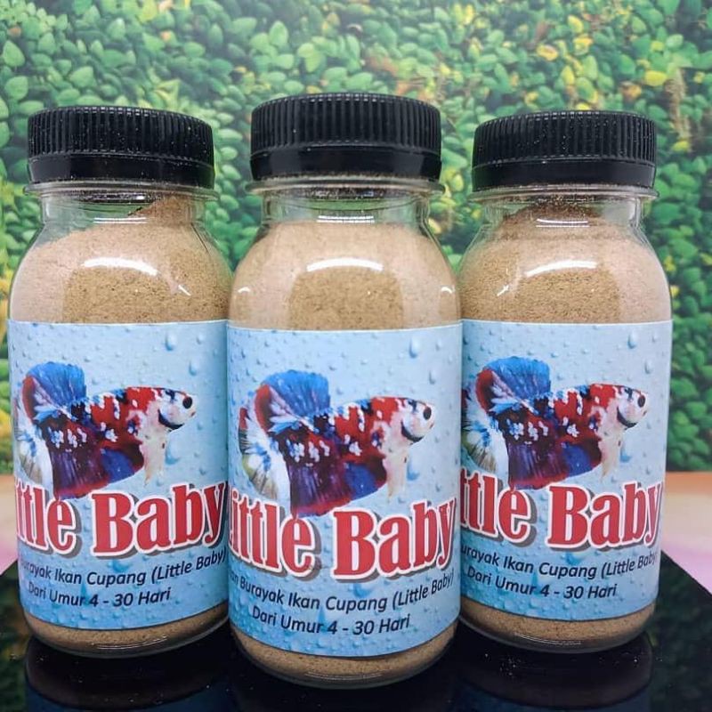 LITTLE BABY PAKAN BURAYAK IKAN CUPANG DARI UMUR 4-30 HARI
