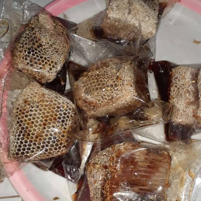 

SARANG MADU || MADU HUTAN