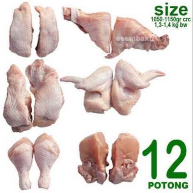 

ayam potong